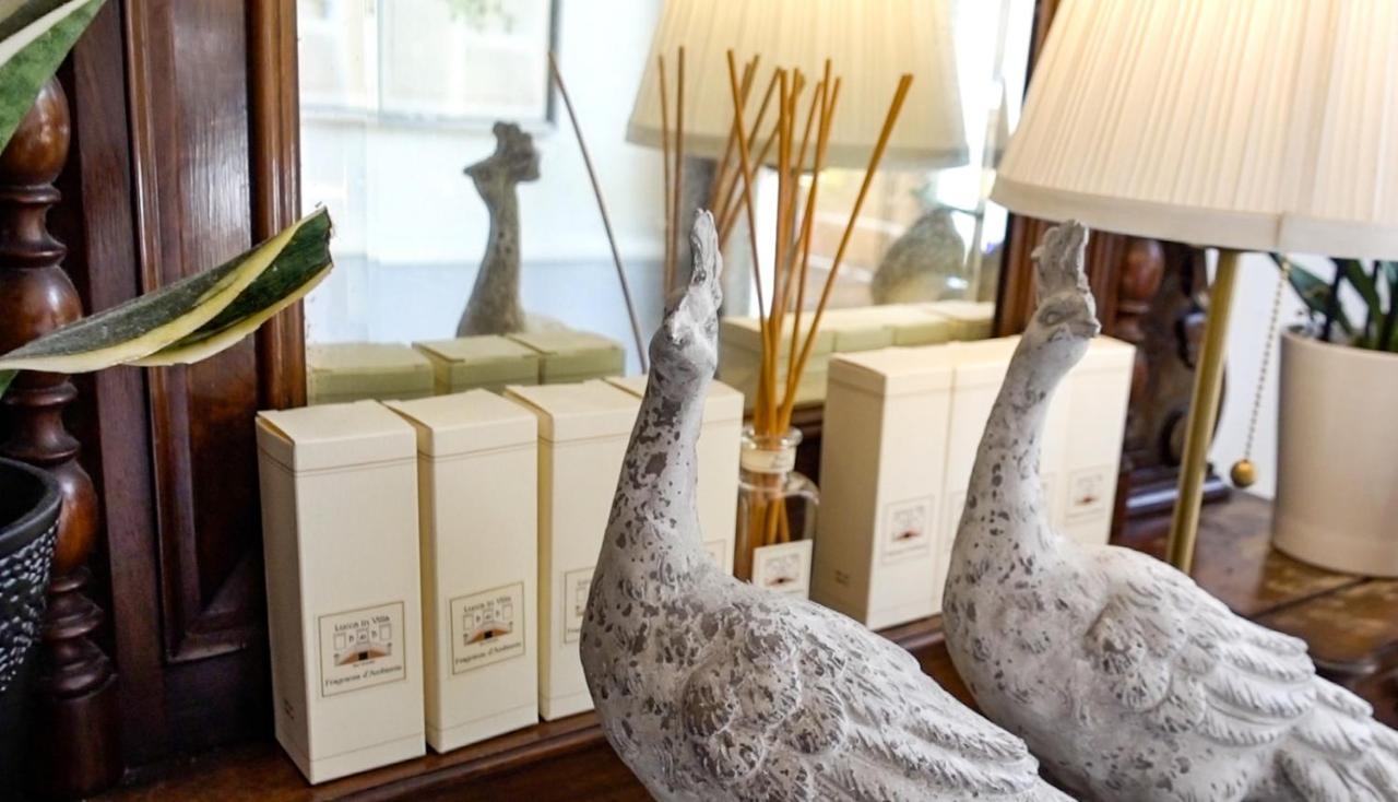 Villa San Donato B&B ルッカ エクステリア 写真